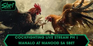 Cockfighting live stream PH | Manalo at Manood sa SBET