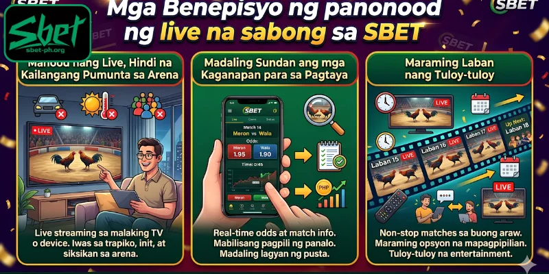 Mga Benepisyo ng panonood ng live na sabong sa SBET
